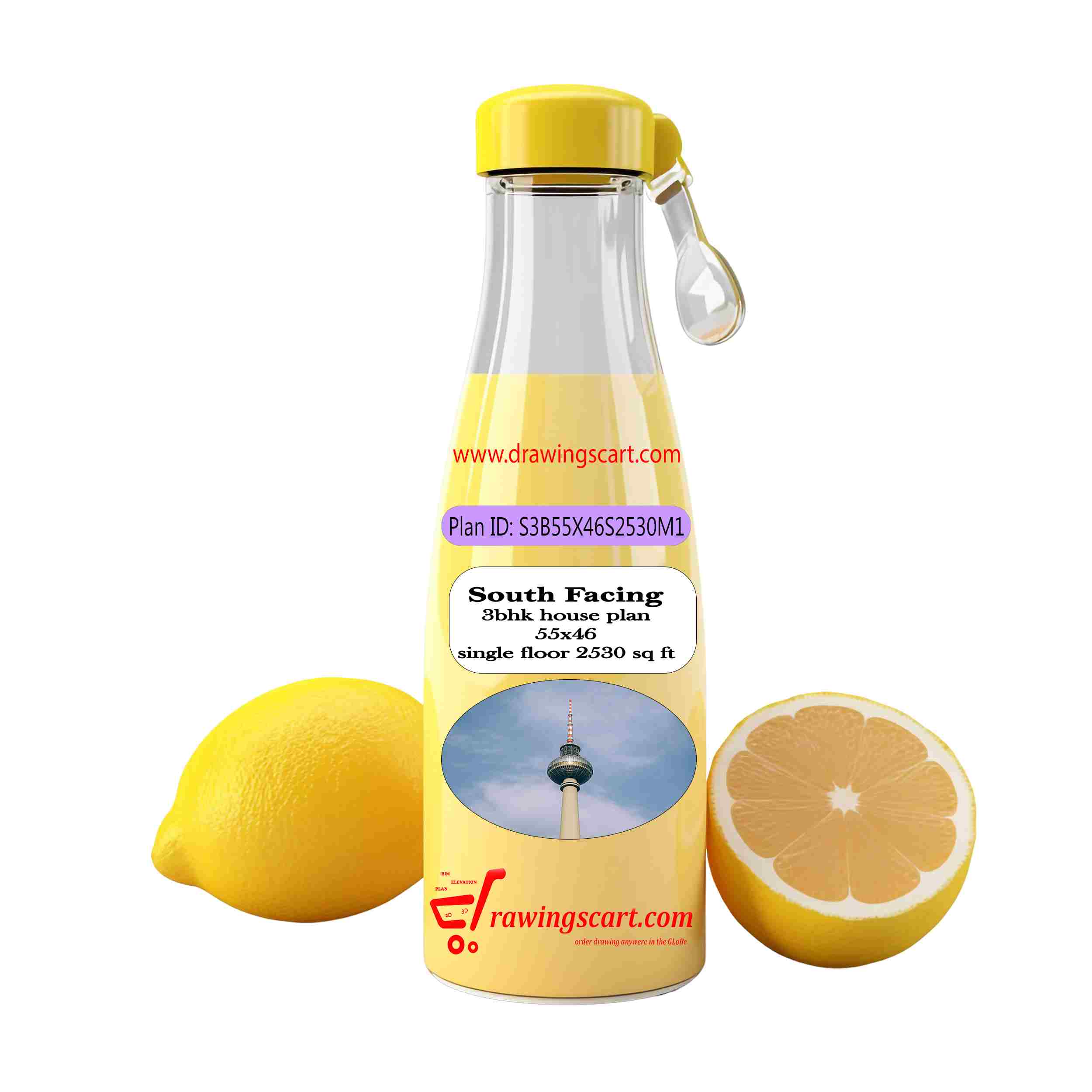 Elevate Your Home: Spacious 3 BHK  kerala House Plan with Living Hall | South Facing, 55x46, 2530 Sq. Ft.